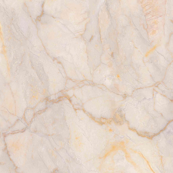 Marble SPC Wall Panel